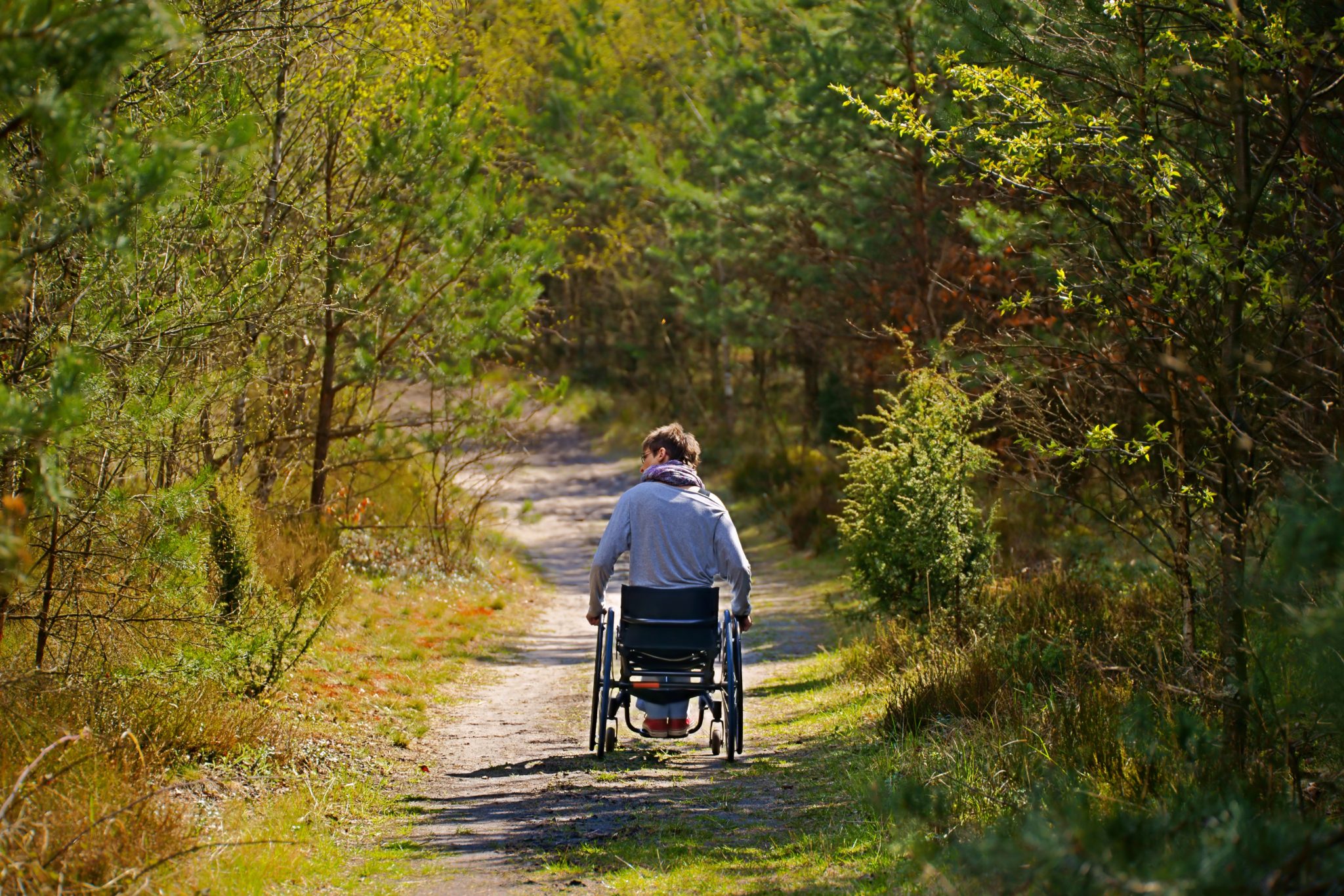 wheelchair accessible trails