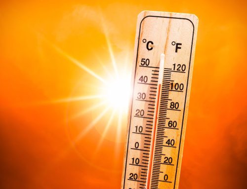 Beating the Heat: Senior Safety Tips During Chicagoland’s Heat Advisory